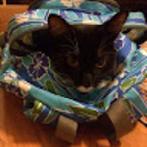 Meet your Posher, Daphne